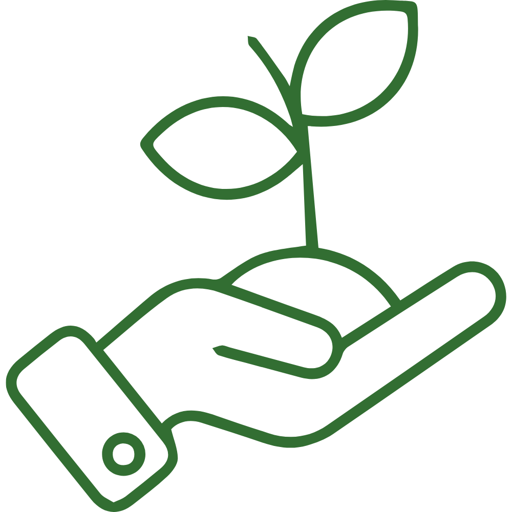 Icon of a hand holding a small plant to symbolize Nurture